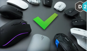 mouse